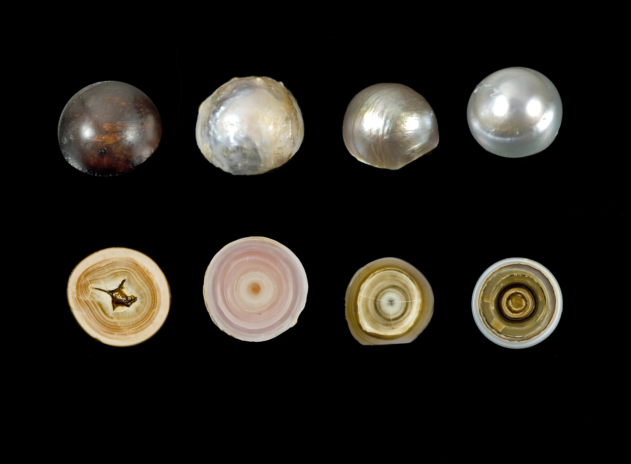 Sections au travers de quatre perles naturelles